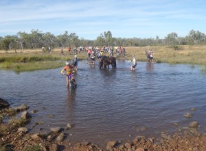 Horses join us for a river crossing.